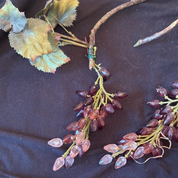 Vines of grapes - Picture 3 of 8